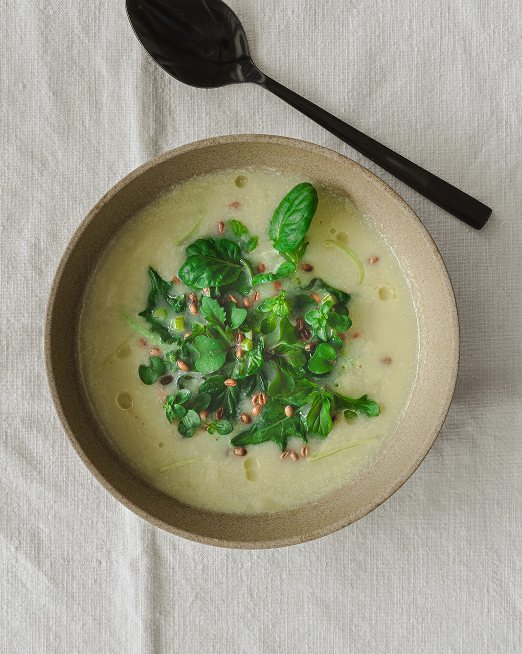 Kohlrabi-Suppe mit Dinkelmilch – Abgeschmeckt &amp; Aufgedeckt
